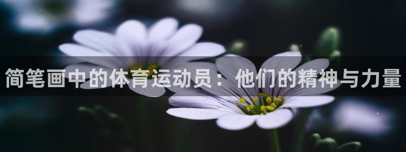欧亿体育官方正版app娱乐网站：简笔画中的体育运动员