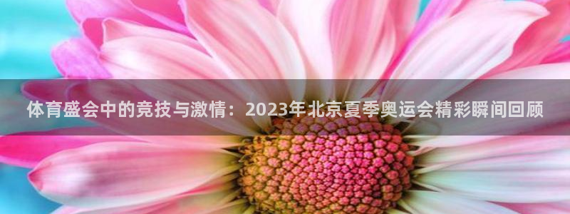 oety欧亿体育官网下载注册：体育盛会中的竞技与激情：202