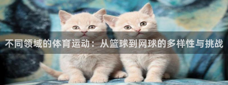 oety欧亿体育官网下载平台注册：不同领域的体育运动：从篮球