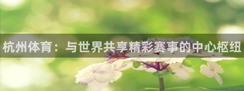 oety欧亿体育官网下载注册：杭州体育：与世界共享精彩赛事的