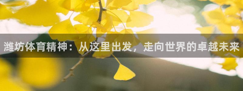 oety欧亿体育官网下载平台是正规平台吗知乎：潍坊体育精神：