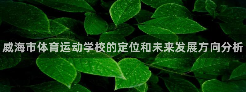 oety欧亿体育官网下载招商电话：威海市体育运动学校的定位和