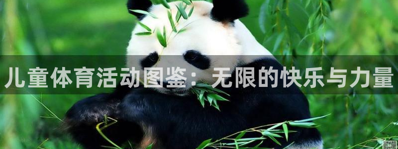 oety欧亿体育官网下载平台注册流程视频：儿童体育活动图鉴：