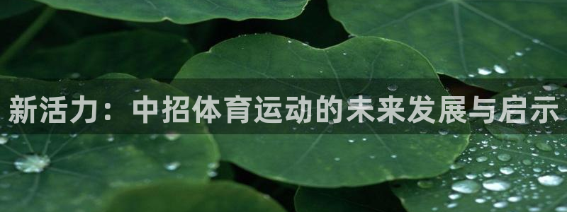 欧亿体育官方平台体育