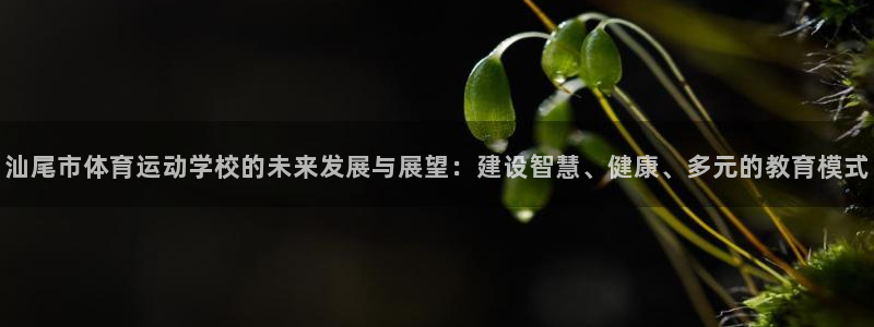 oety欧亿体育官网下载招商电话号码是多少：汕尾市体