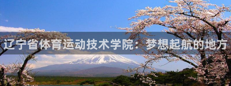 oety欧亿体育官网下载是干嘛的公司
