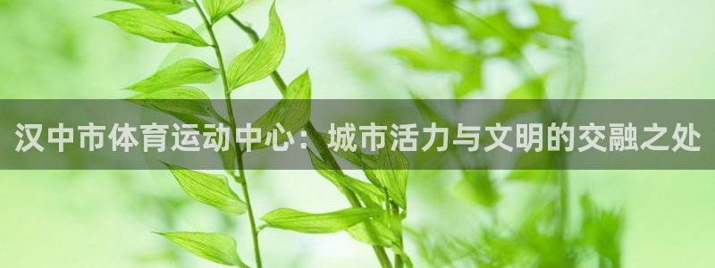 欧亿体育官方正版app娱乐首页官网下载：汉中市体育运动中心：