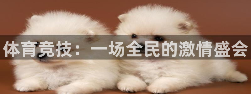 oety欧亿体育官网下载平台注册流程视频：体育竞技：