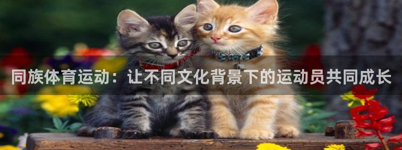 欧亿官网中文版下载.官网app.中国