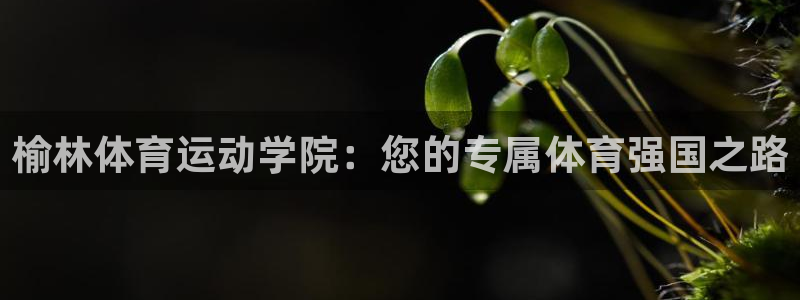 欧亿体育官方正版app集团简介：榆林体育运动学院：您的专属体