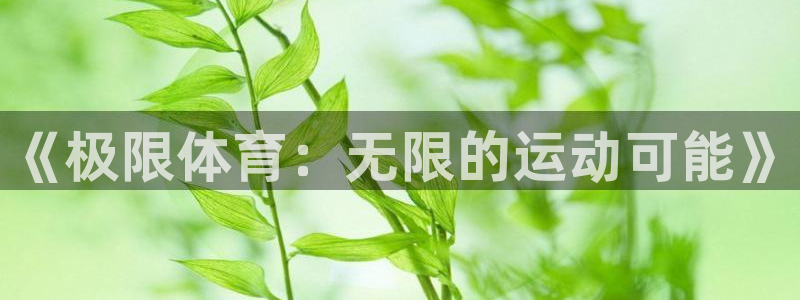 oety欧亿体育官网下载平台注册流程视频：《极限体育：无限的