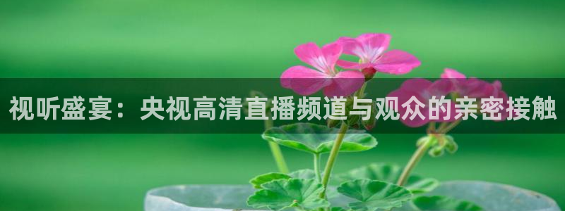 nba直播极速体育直播吧触屏版：视听盛宴：央视高清直播频道与观众的亲密接触
