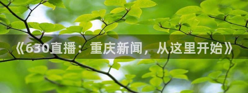 极速体育直播在线观看免费：《630直播：重庆新闻，从这里开始》