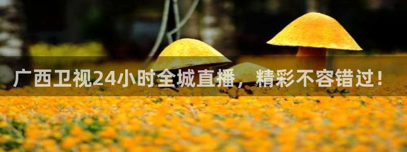 体育直播吧极速体育：广西卫视24小时全城直播，精彩不容错过！