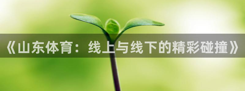 极速体育nba在线直播吧：《山东体育：线上与线下的精彩碰撞》